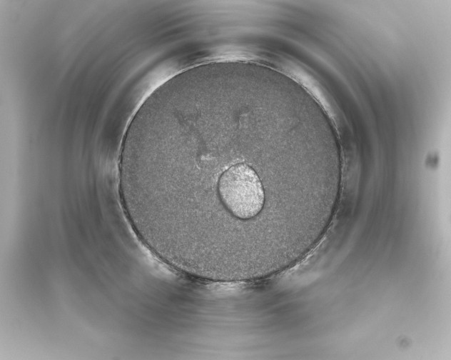 X0000093620810200711121234