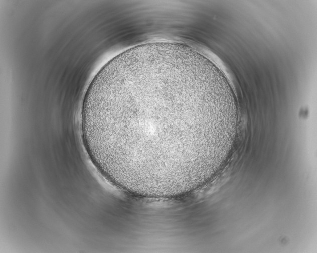 X0000093620811200711121234