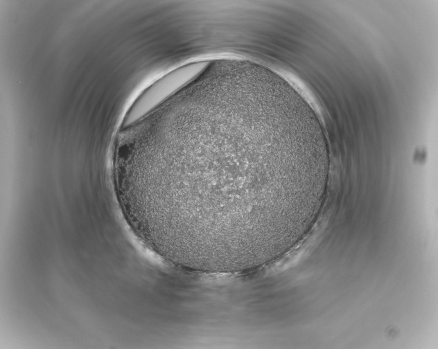 X0000093620813200711121234