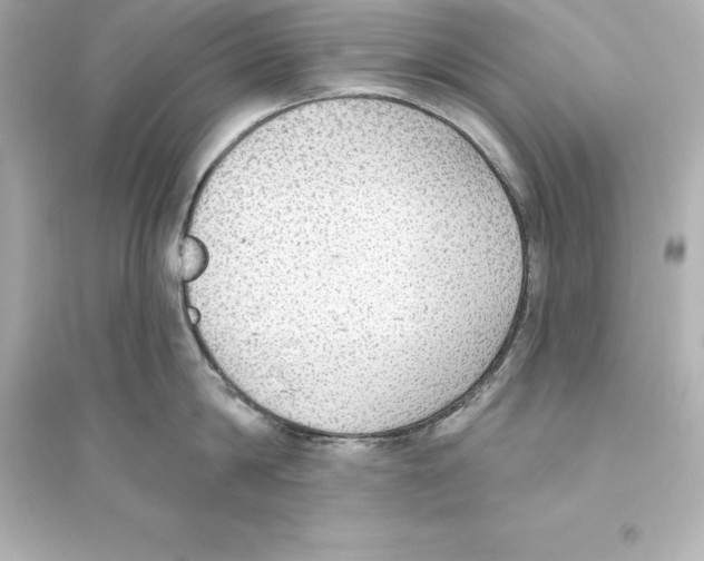 X0000093620814200711121234