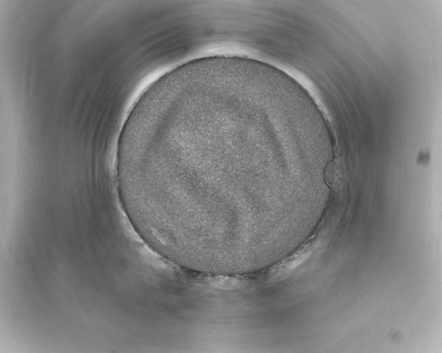 X0000093620815200711121234