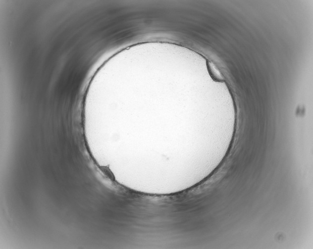 X0000093620816200711121234