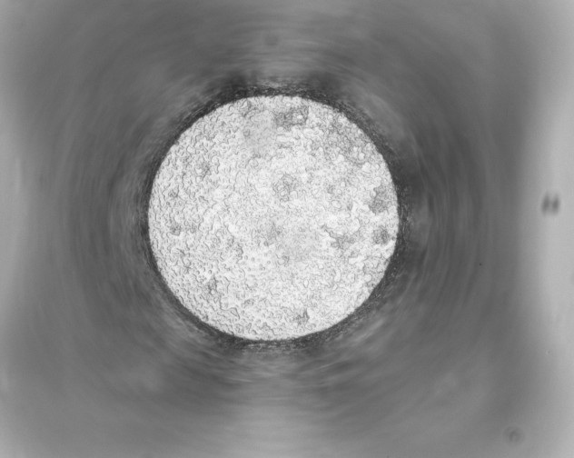 X0000093620817200711121233