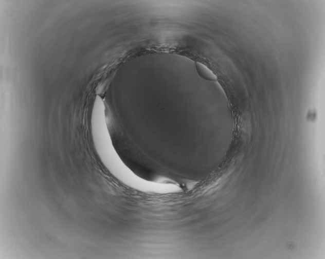 X0000093620818200711121233