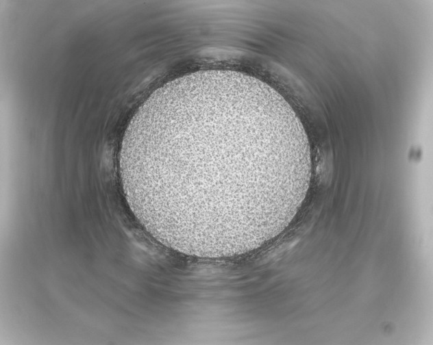 X0000093620819200711121233