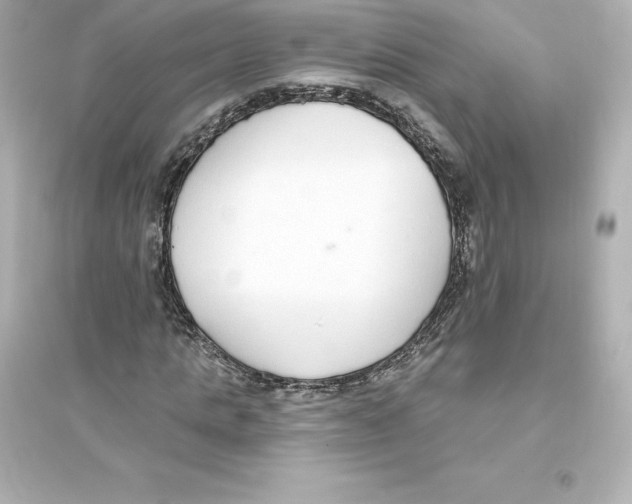 X0000093620821200711121233