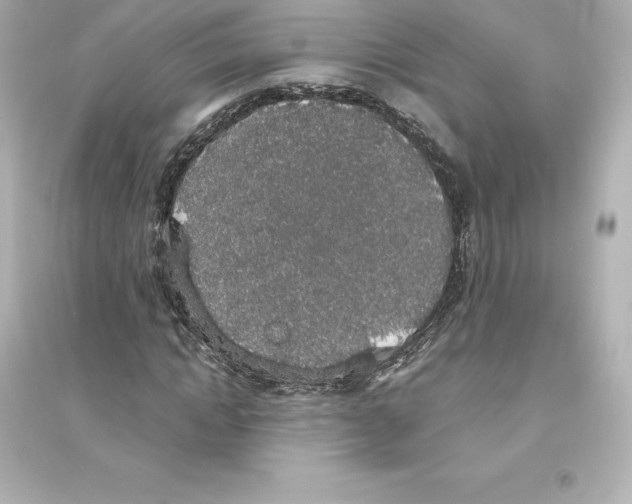 X0000093620822200711121233