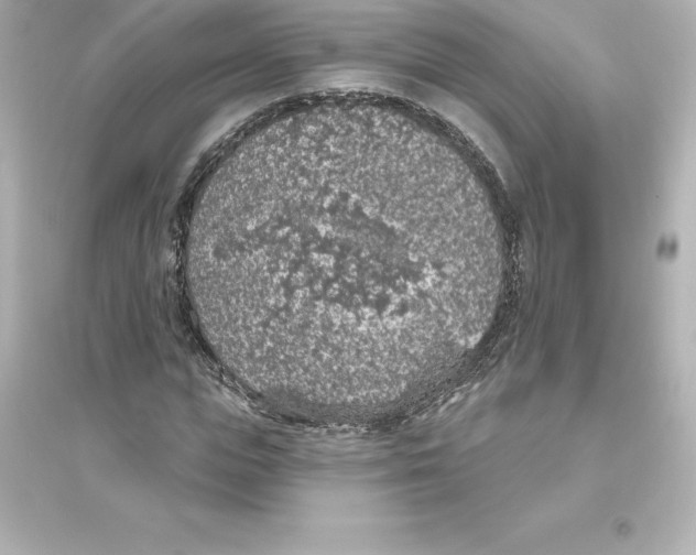 X0000093620823200711121234