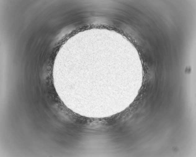 X0000093620824200711121234