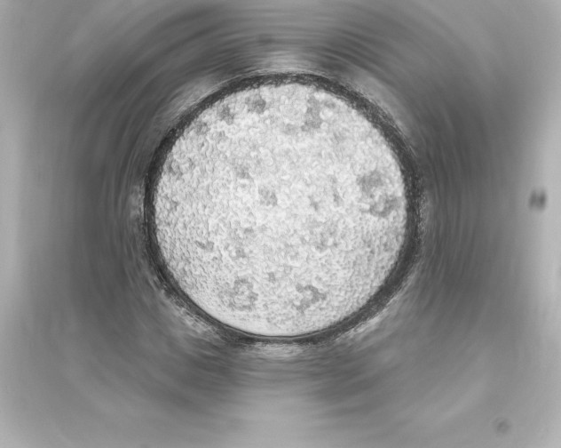 X0000093620825200711121234