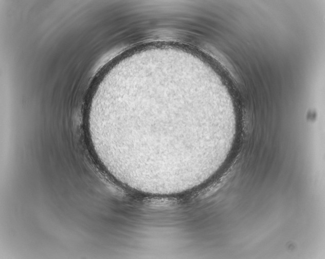 X0000093620826200711121234