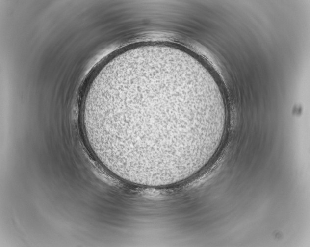 X0000093620827200711121234