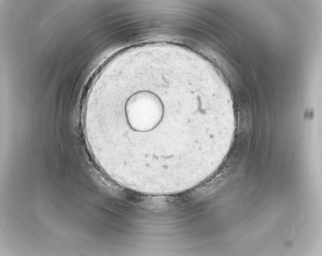 X0000093620828200711121234