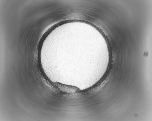 X0000093620830200711121234