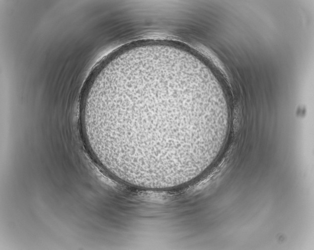 X0000093620831200711121234