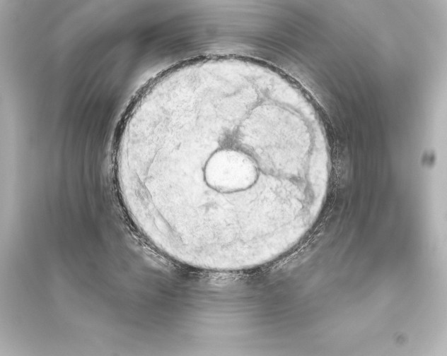 X0000093620832200711121234