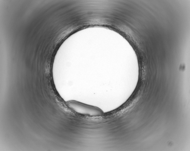 X0000093620833200711121234