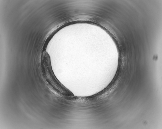 X0000093620834200711121234