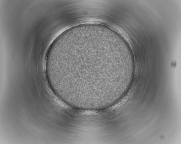 X0000093620835200711121234