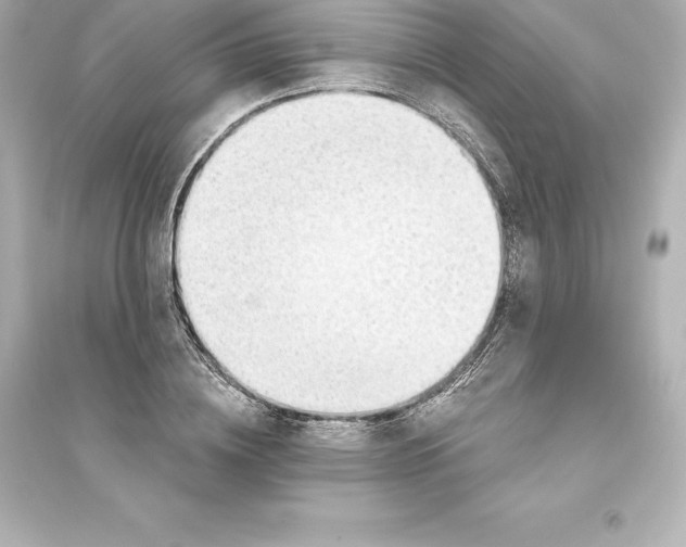 X0000093620836200711121234