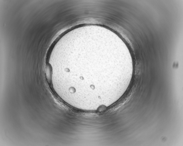 X0000093620837200711121234