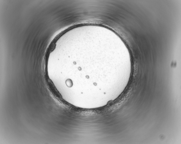 X0000093620838200711121234