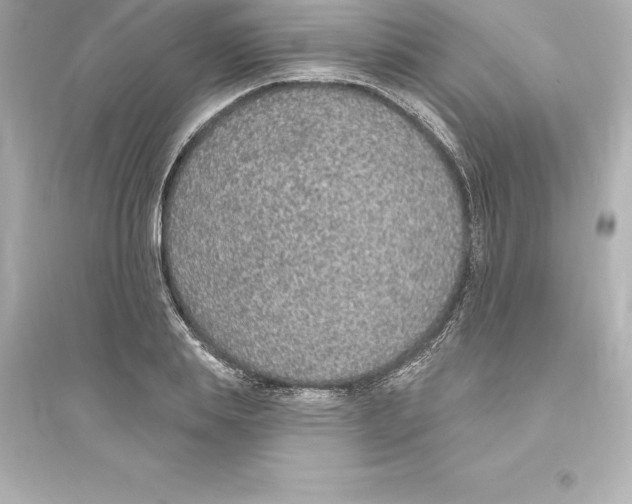 X0000093620839200711121234