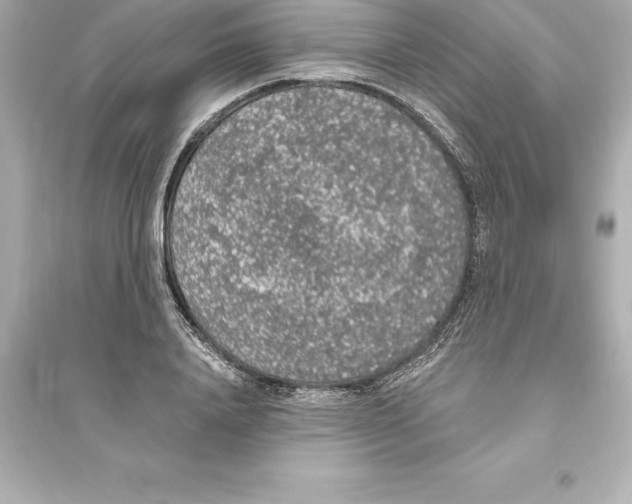 X0000093620840200711121234