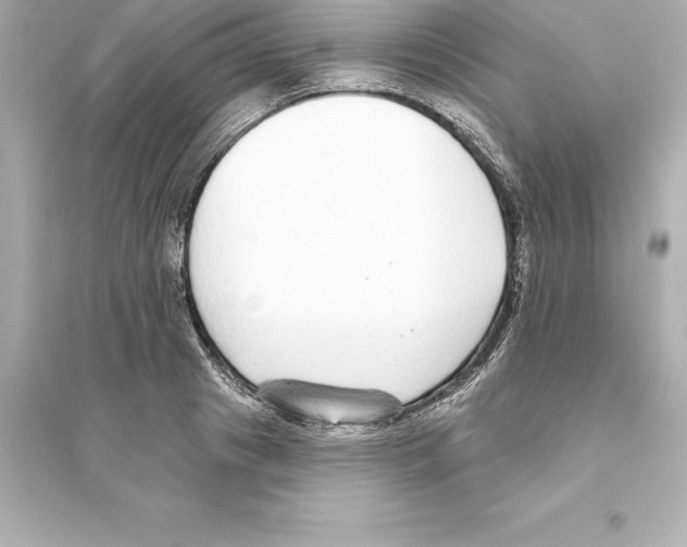 X0000093620841200711121234