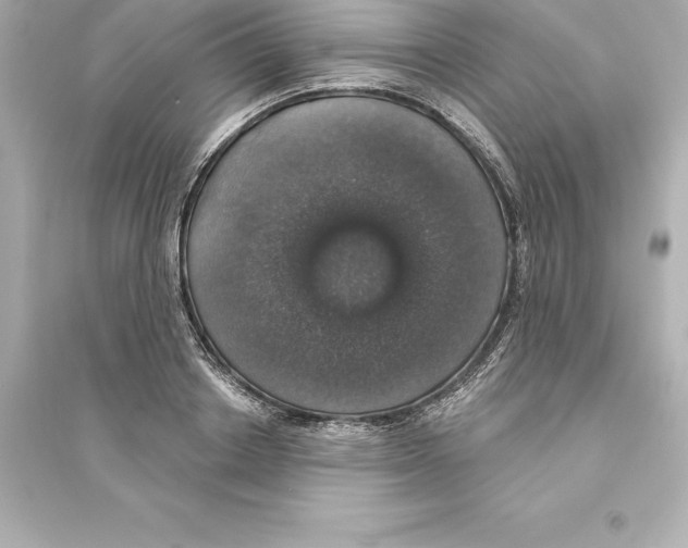 X0000093620842200711121234