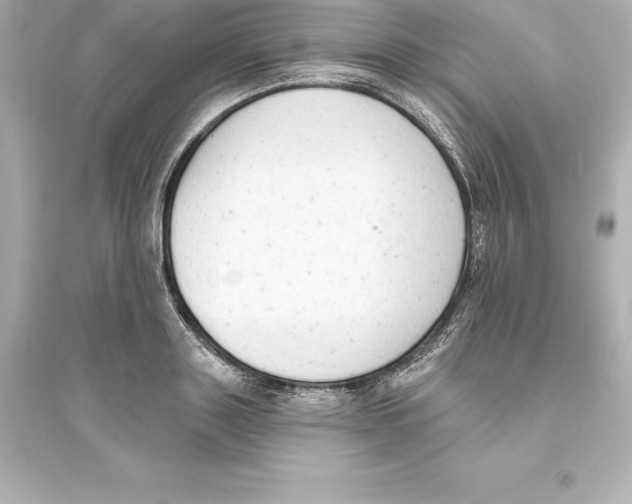 X0000093620843200711121234