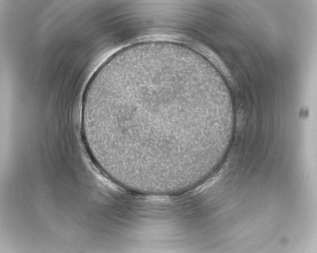 X0000093620844200711121234