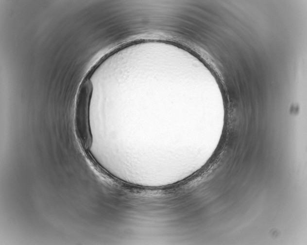 X0000093620845200711121234