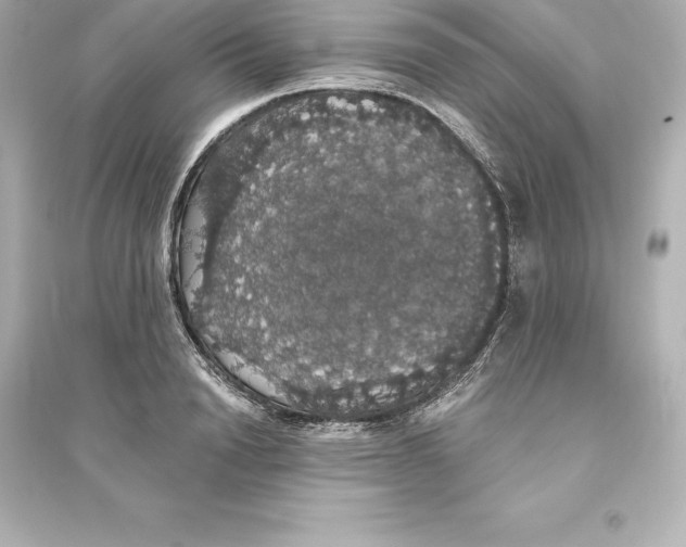 X0000093620846200711121234