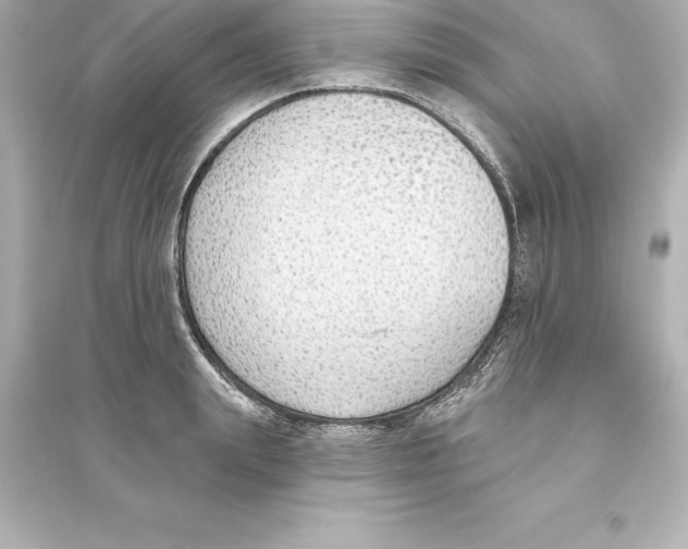 X0000093620847200711121234