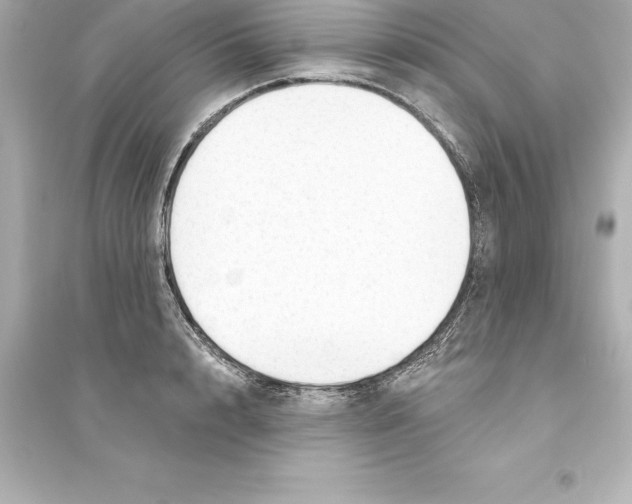 X0000093620848200711121234