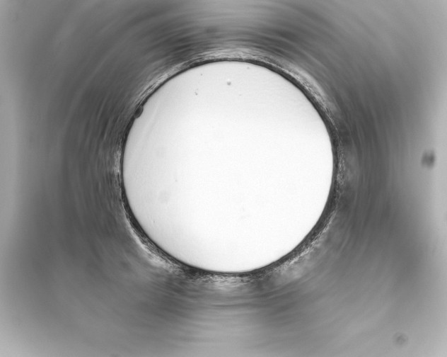 X0000093620849200711121234