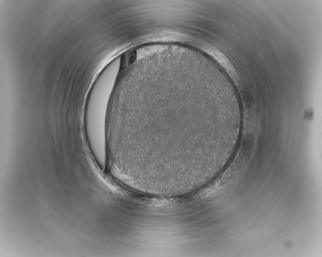 X0000093620850200711121234