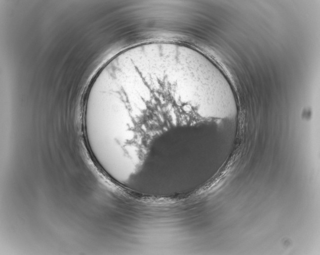 X0000093620851200711121234