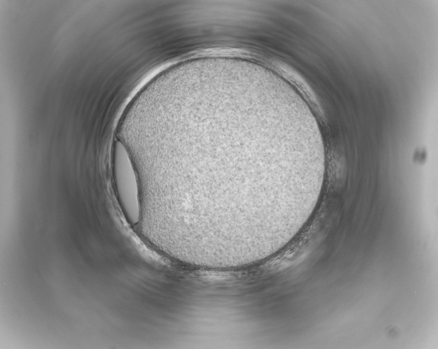 X0000093620852200711121234