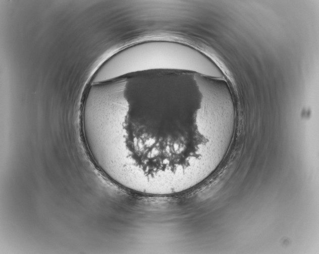 X0000093620853200711121234