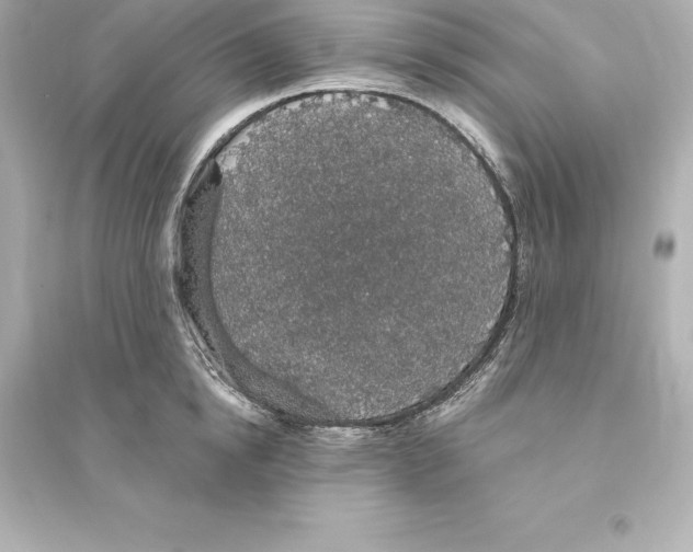 X0000093620854200711121234