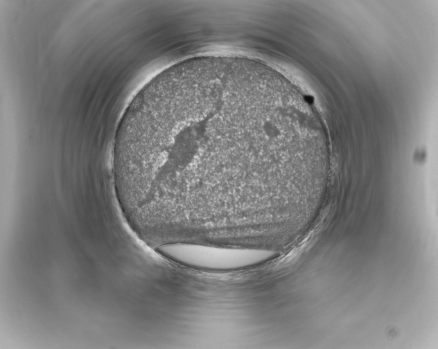 X0000093620855200711121234