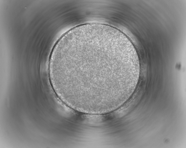 X0000093620856200711121234