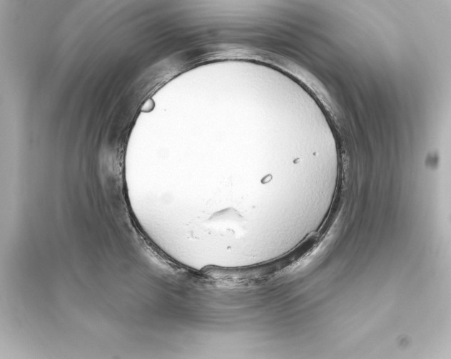 X0000093620857200711121234