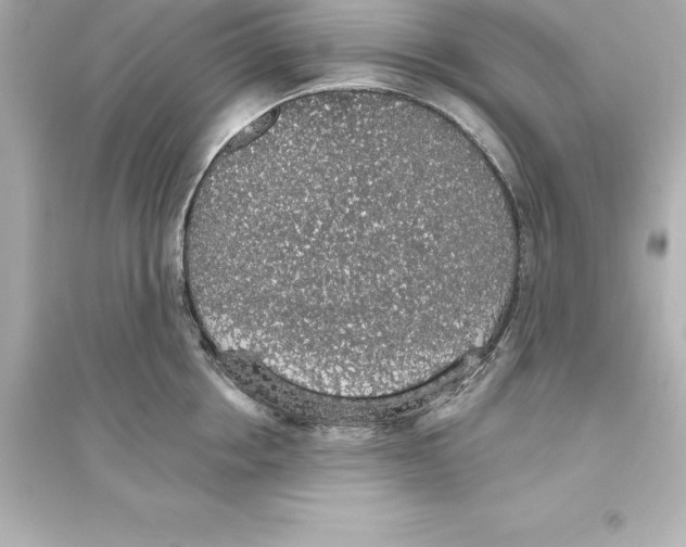 X0000093620858200711121234