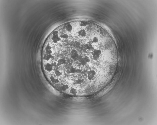 X0000093620859200711121234