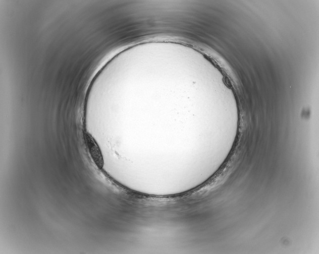 X0000093620860200711121234