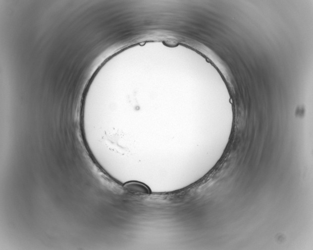 X0000093620861200711121234