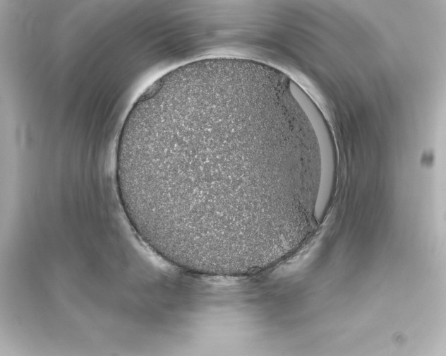 X0000093620862200711121234